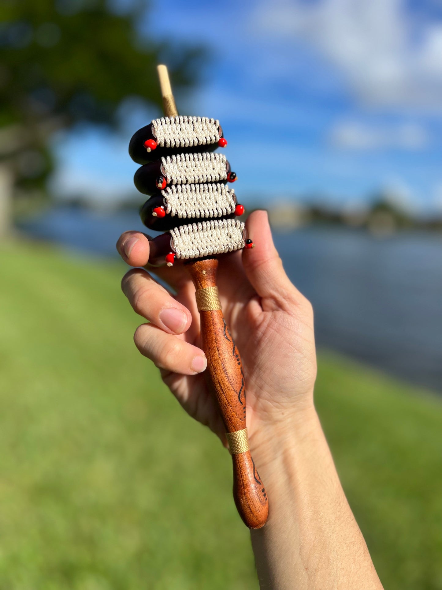Natural Amazonian rattle