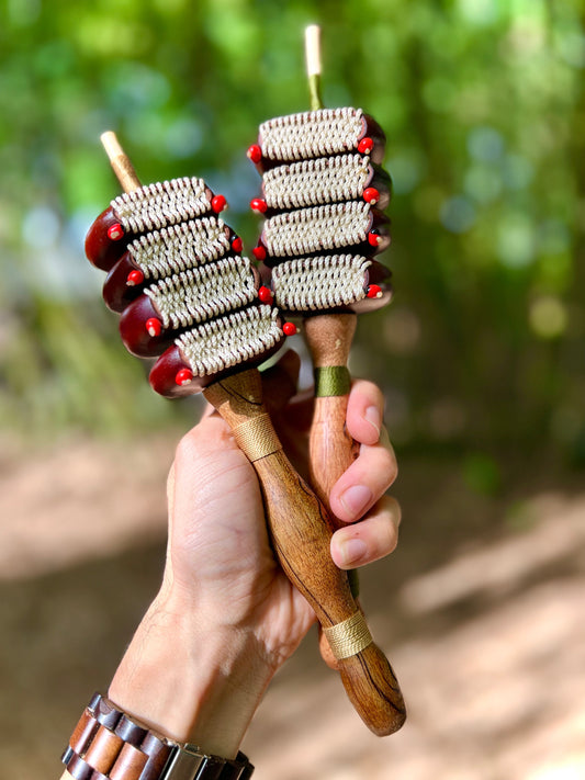 Natural Amazonian rattle